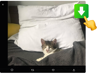 Иллюстрация онлайн-загрузчика видео с Twitter