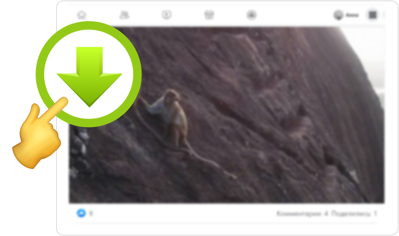 Скачать видео из Facebook